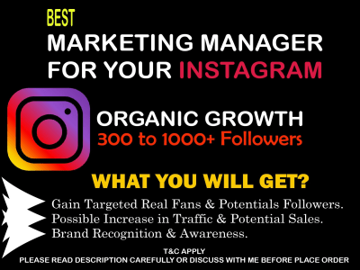 A marketing manager for your instagram organic growth