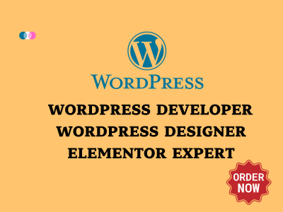 WordPress developer designer | elementor designer | elementor expert ...