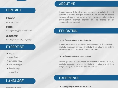 Professional Resume Writing, CV Writing and LinkedIn Optimization Service