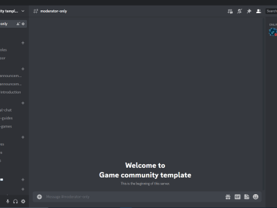 An amazing built-in discord made for the gaming community