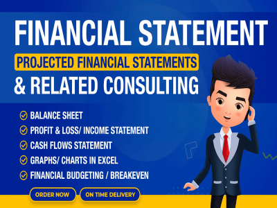 Profit and loss, balance sheet, financial statements, stubs