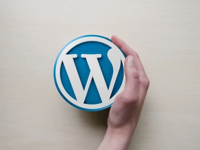 Expert WordPress Developer | WooCommerce |  Theme Set up & Customizations