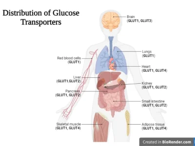 Biology/Medical-related Diagrams and Illustrations