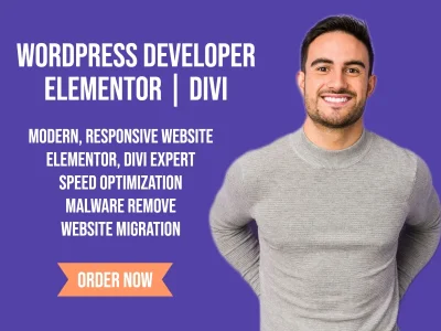 WordPress Developer, WordPress Expert, Elementor | Divi developer