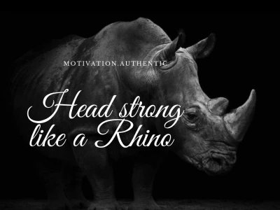 A motivational quote image