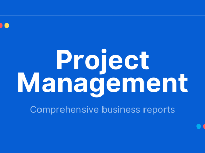 Comprehensive Business Analyst/Project Manager/VA for your Projects