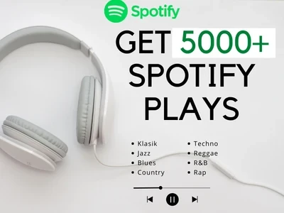 Fast Spotify Promotion | Music Marketing