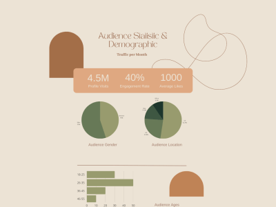 A brand focused Informational Graphic for use on socials (incl all sizes)