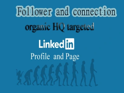 Organic LinkedIn connection or followers to your LinkedIn Profile business