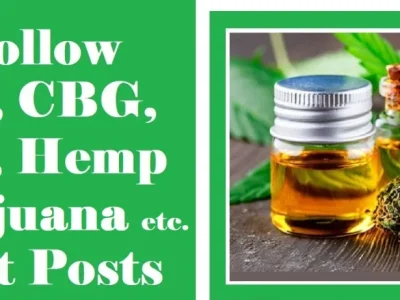 Do follow cbd guest post on google news approved blogs