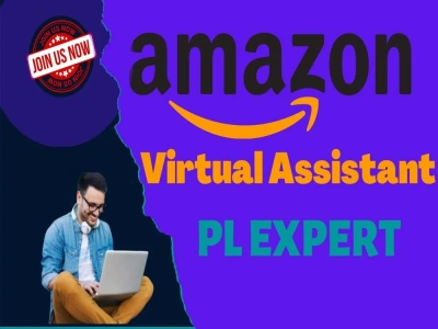 Virtual Assistant for your amazon store, an expert in FBA, PL, PPC | Upwork