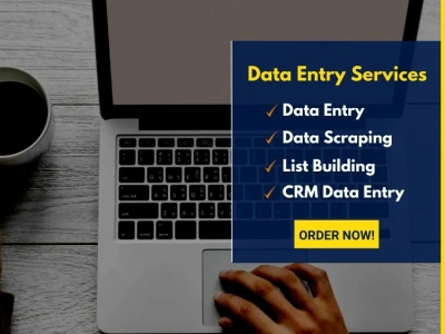 Affordable Data Entry Services with 100% accuracy