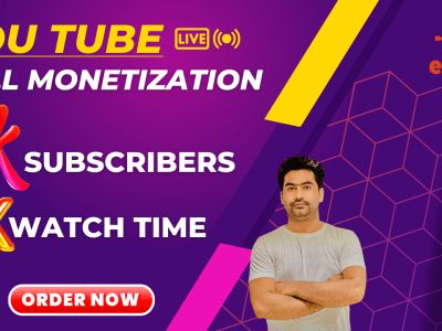 YouTube Subscribers and Watch Time (100% Organic)