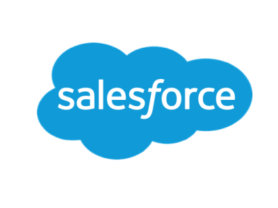 A Professional Salesforce Developer