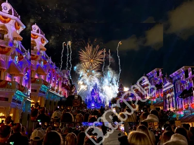 Disney World photography for your website, blog, & social media
