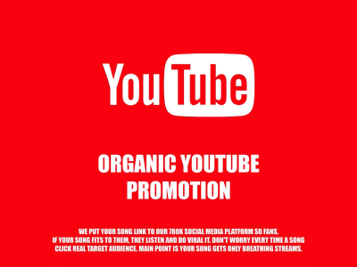 An Organic and Viral YouTube Promotion