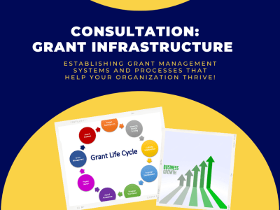 Support in developing a strong grant application/management infrastructure