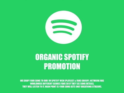 An Organic and Viral Spotify Promotion