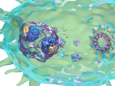 3D bio-medical product or process illustration or animation
