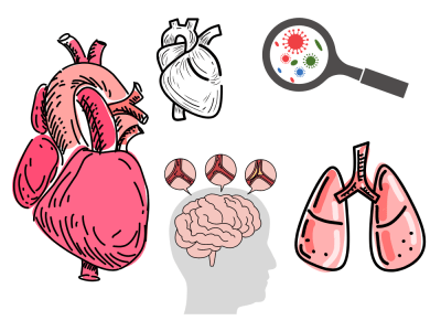 Well detailed medical, health, scientific illustration drawing