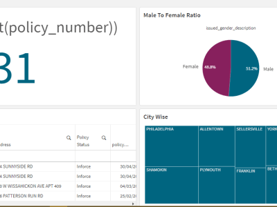 An amazing dashboard using QLIKSENSE