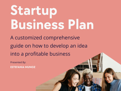 A CUSTOM-MADE and COMPELLING business plan on how to grow your business