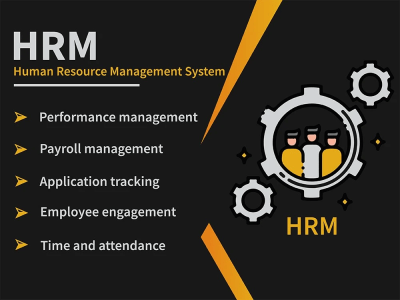 HRMS solution for business i.e human resource management system | Upwork