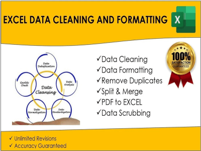 Excel data cleaning and data formatting | Upwork