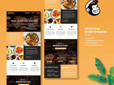 Responsive Mailchimp and Klaviyo Email template newsletter design