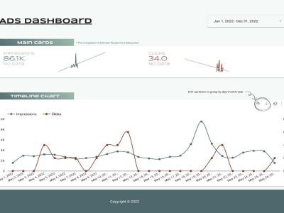 Google Ads Interactive Dashboard for your Website