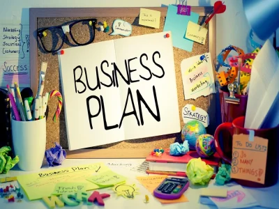 A Professional & Investor Winning Business Plan Writer