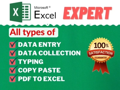 Accurate data entry, manual typing, convert PDF to Word and Excel