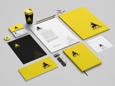 Brand Style Guide Corporate Brand Identity Brand Design Corporate Branding