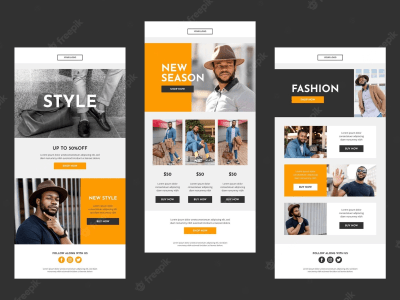 WordPress Developer, WordPress Designer, Shopify Guru and digital marketing