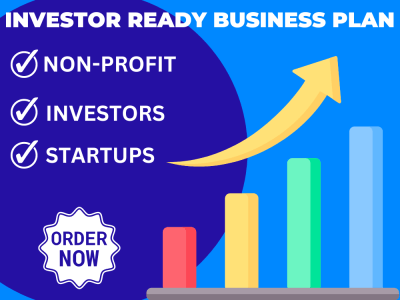 A detailed investor ready business plan for startup, business plan writer