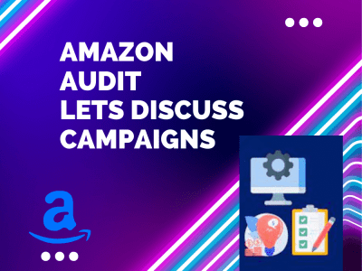 Deep analysis / Audit of the campaign manager along with custom reports