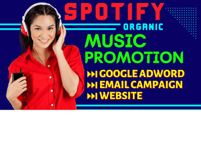 Organic spotify music promotion