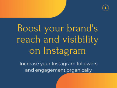 Instagram Following and Engagement Boost