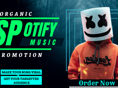 Premium Royalties Eligible Plays For Spotify Promotion | Spotify Followers
