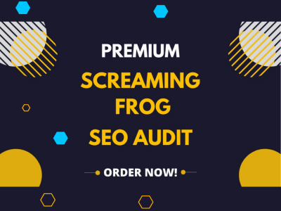An expert SEO audit report with long term action plan to rank high
