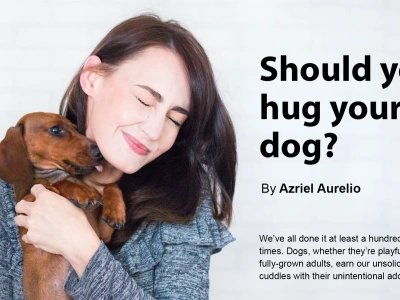 A 500-word Pet Blog for $20