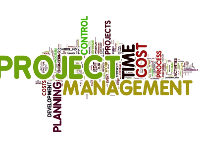 Comprehensive Project Manager / VA for your Project