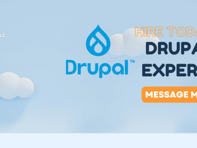 Drupal Expert Developer | Designer | SEO & Lead Generation Expert