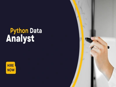 A professional python programmer and data analyst | Upwork