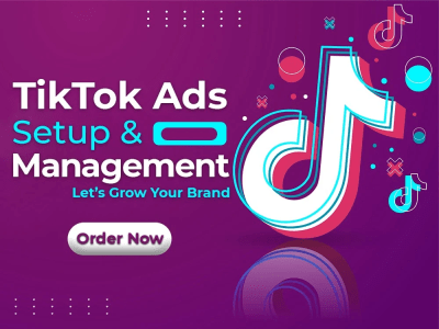 TikTok Ads Setup & Management Services.