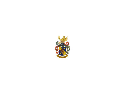 A great medieval coat of arms (heraldic emblem, family crest)