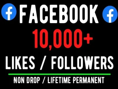 Real Facebook Page Like & Followers Lifetime Guaranteed