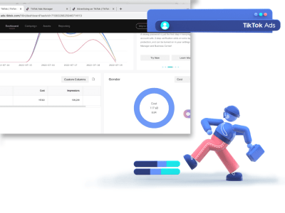 TikTok Ads account ready for use