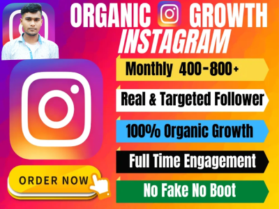 Non-Drop & Lifetime Active Followers