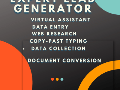 Expert b2b lead generator, web research and data entry operator
